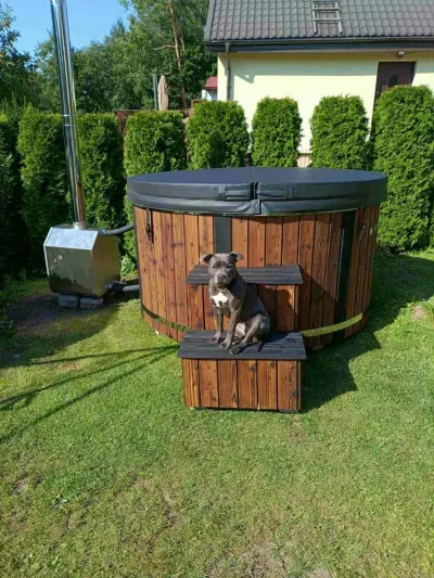 Lauko kubilas sodyboje tarp žalumos